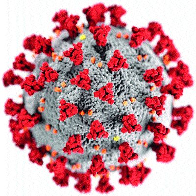 Health check-up of 104 people in Sangameshwar | संगमेश्वरात १०४ जणांची आरोग्य तपासणी Health check-up of 104 people in Sangameshwar | संगमेश्वरात १०४ जणांची आरोग्य तपासणी