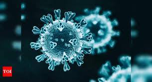 At present there are 20 patients infected with covid in Trimbakeshwar taluka! | त्र्यंबकेश्वर तालुक्यात सध्या 20 कोव्हीड बाधा झालेले रुग्ण ! At present there are 20 patients infected with covid in Trimbakeshwar taluka! | त्र्यंबकेश्वर तालुक्यात सध्या 20 कोव्हीड बाधा झालेले रुग्ण !