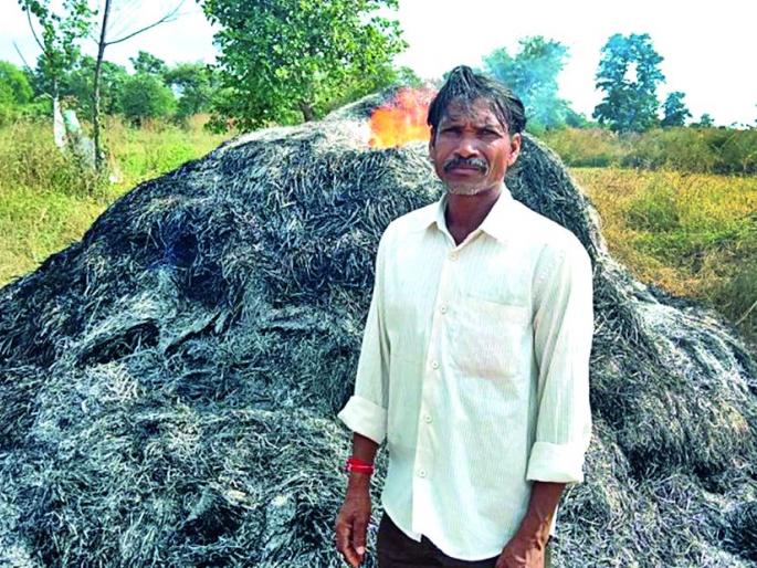 Burning an unknown fire | अज्ञाताने जाळले धानाचे पुंजणे Burning an unknown fire | अज्ञाताने जाळले धानाचे पुंजणे