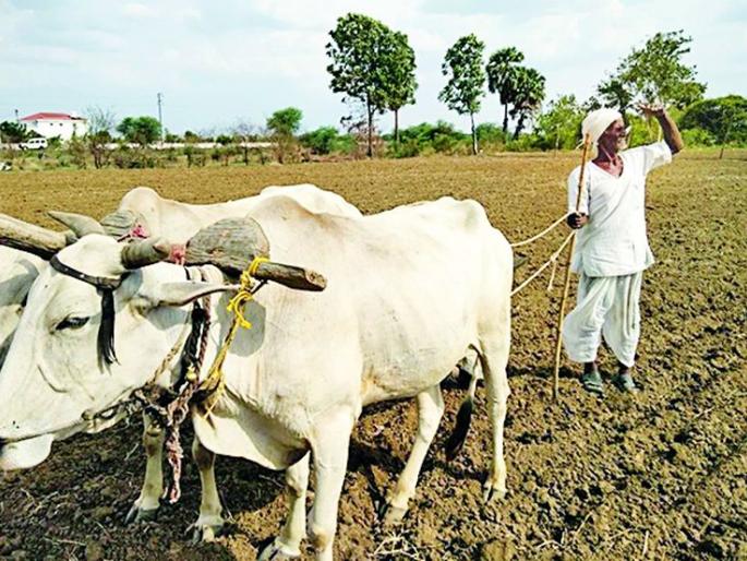 Dried eyes dry up in the sky | पाणावले डोळे कोरड्या आकाशाकडे Dried eyes dry up in the sky | पाणावले डोळे कोरड्या आकाशाकडे