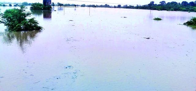 Hundreds of hectares of agricultural land | शेकडो हेक्टर शेती पुराच्या पाण्याखाली