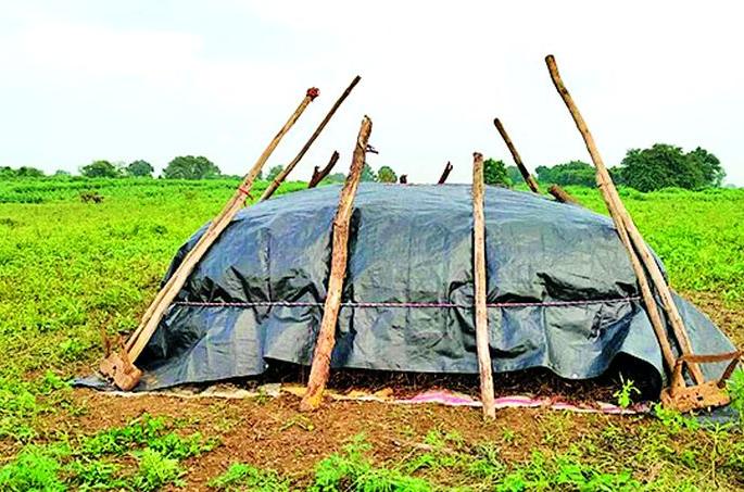 The rains have raised concerns among farmers in the district | पावसामुळे जिल्ह्यातील शेतकऱ्यांची चिंता वाढली The rains have raised concerns among farmers in the district | पावसामुळे जिल्ह्यातील शेतकऱ्यांची चिंता वाढली