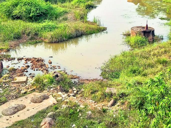 Now, cultivate Erie, yes, the cry of the citizens | आता तरी इरईचे संवर्धन करा हो, नागरिकांची आर्त हाक Now, cultivate Erie, yes, the cry of the citizens | आता तरी इरईचे संवर्धन करा हो, नागरिकांची आर्त हाक