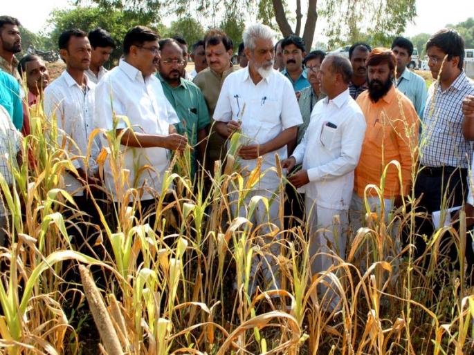 Dhule's guardian minister surveyed drought in one day | धुळ्याच्या पालक मंत्र्यांनी एका दिवसात केली दुष्काळाची पाहणी