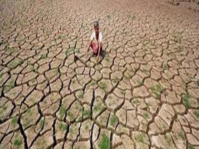 Due to drought at Hol (Taluka Shindkheda) | होळ (ता.शिंदखेडा) येथे दुष्काळाची दाहकता Due to drought at Hol (Taluka Shindkheda) | होळ (ता.शिंदखेडा) येथे दुष्काळाची दाहकता