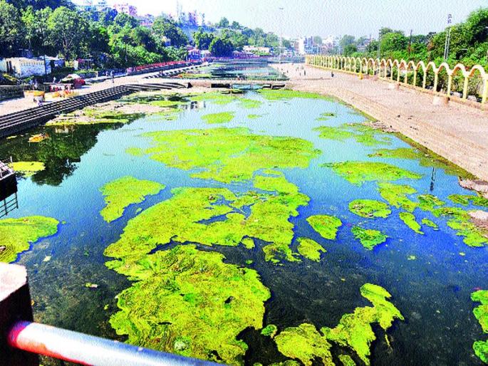 The government machinery has to be restored: all the questions have been re-pollinated, but no matter where they went; | शासकीय यंत्रणा सुस्तावली : कारवाई करणारे गेले कुठे, याचा सर्वांना प्रश्न पुन्हा प्रदूषित गोदामाई, तरी कुणा पर्वा नाही! The government machinery has to be restored: all the questions have been re-pollinated, but no matter where they went; | शासकीय यंत्रणा सुस्तावली : कारवाई करणारे गेले कुठे, याचा सर्वांना प्रश्न पुन्हा प्रदूषित गोदामाई, तरी कुणा पर्वा नाही!