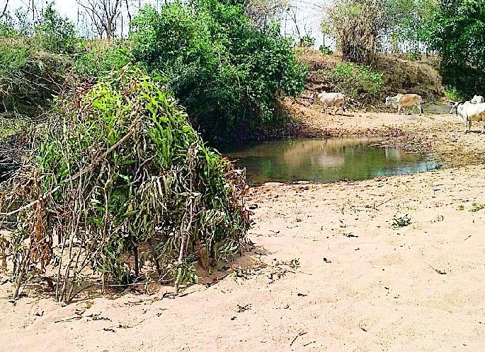 Traps near the waterfall for hunting of birds | पक्ष्यांच्या शिकारीसाठी पाणवठ्याजवळ सापळे