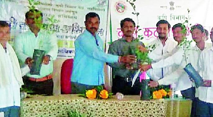 Use technology to grow production | उत्पादनवाढीसाठी तंत्रज्ञानाचा वापर करा