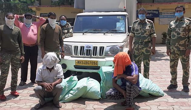 Import of aromatic tobacco in the name of essential commodities in Gadchiroli district | गडचिरोली जिल्ह्यात जीवनावश्यक वस्तूंच्या नावावर सुगंधित तंबाखूची आयात