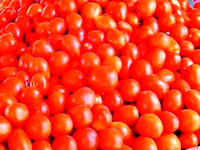 Everyone's eyes are red when they see the price of tomatoes | टमाट्यांचे दर पाहून सर्वसामान्यांचे डोळे लाल Everyone's eyes are red when they see the price of tomatoes | टमाट्यांचे दर पाहून सर्वसामान्यांचे डोळे लाल