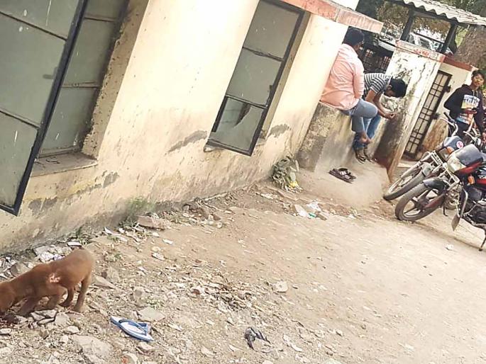 Meatballs in the mouth of the slaughtered dogs | घाटीत मोकाट कुत्र्यांच्या तोंडामध्ये मांसाचे गोळे