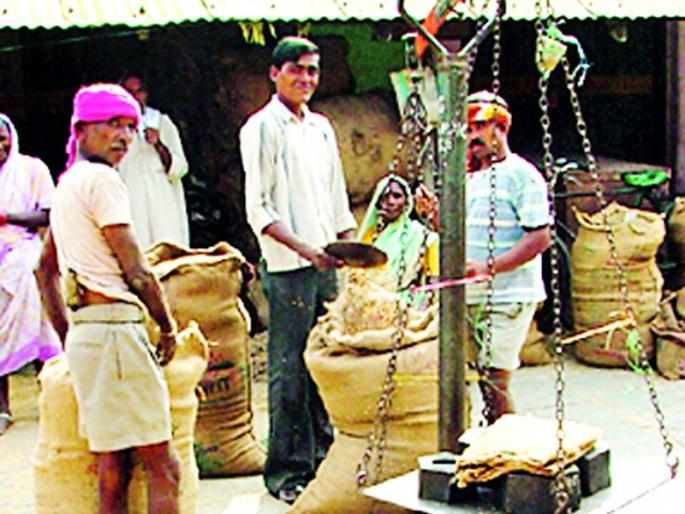 Buy a record break in the rabbits after the Kharifa | खरिपापाठोपाठ रब्बीतही रेकॉर्ड ब्रेक खरेदी Buy a record break in the rabbits after the Kharifa | खरिपापाठोपाठ रब्बीतही रेकॉर्ड ब्रेक खरेदी