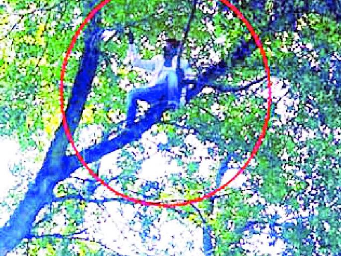 Unauthorized schoolteacher agitation on tree | विनाअनुदानित शाळेच्या शिक्षकाचे झाडावर आंदोलन Unauthorized schoolteacher agitation on tree | विनाअनुदानित शाळेच्या शिक्षकाचे झाडावर आंदोलन