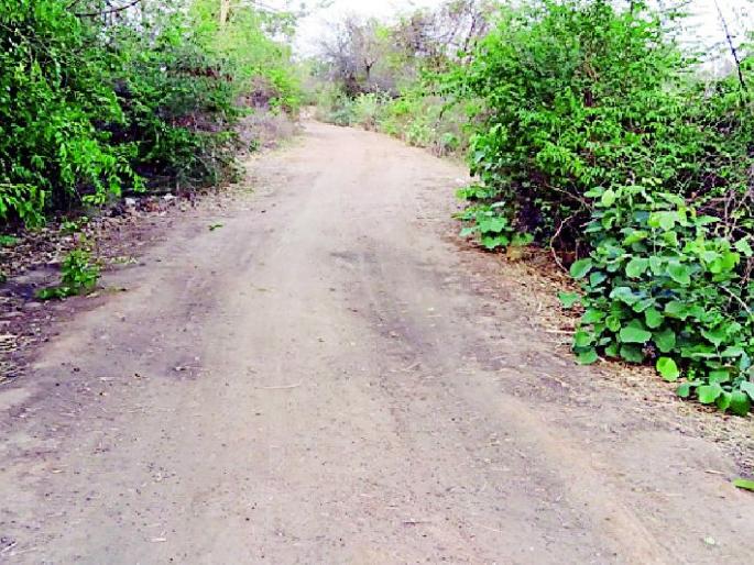 Withholding of funds without creating a road | रस्ता तयार न करताच निधीची उचल Withholding of funds without creating a road | रस्ता तयार न करताच निधीची उचल