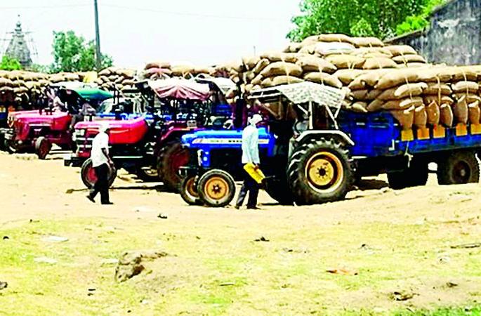 Paddy from Madhya Pradesh-Chhattisgarh and Satbara from Maharashtra | धान मध्यप्रदेश-छत्तीसगडचा आणि सातबारा महाराष्ट्राचा Paddy from Madhya Pradesh-Chhattisgarh and Satbara from Maharashtra | धान मध्यप्रदेश-छत्तीसगडचा आणि सातबारा महाराष्ट्राचा