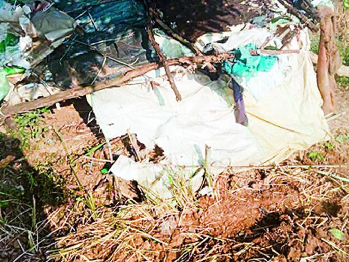 First by nature and now by herds of elephants | आधी निसर्गाने अन् आता हत्तींच्या कळपाने हिरावला घास First by nature and now by herds of elephants | आधी निसर्गाने अन् आता हत्तींच्या कळपाने हिरावला घास