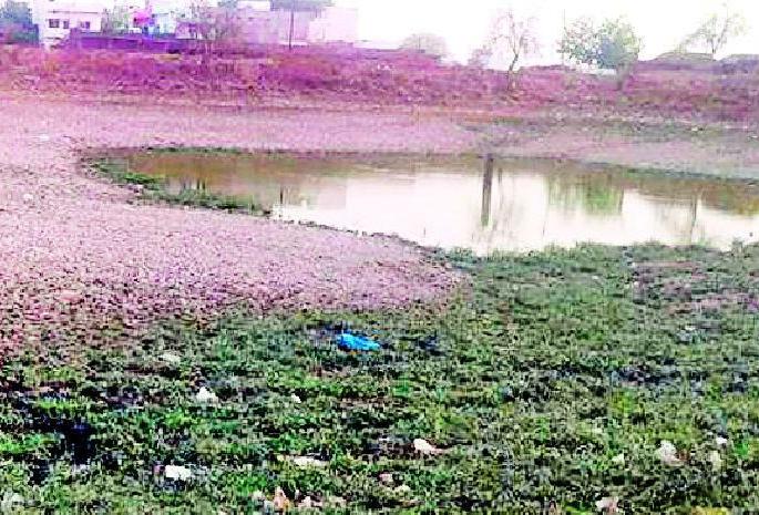 Poor condition of lakes due to lack of repairs | मामा तलावांच्या दुरुस्तीचा प्रश्न केव्हा मार्गी लागणार? Poor condition of lakes due to lack of repairs | मामा तलावांच्या दुरुस्तीचा प्रश्न केव्हा मार्गी लागणार?