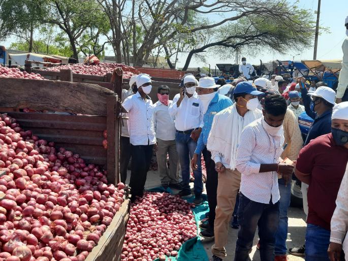 The game of falling in the price of onion, matching the cost of basena! | कांदा दरात घसरगुंडीचा खेळ, बसेना खर्चाचा मेळ! The game of falling in the price of onion, matching the cost of basena! | कांदा दरात घसरगुंडीचा खेळ, बसेना खर्चाचा मेळ!