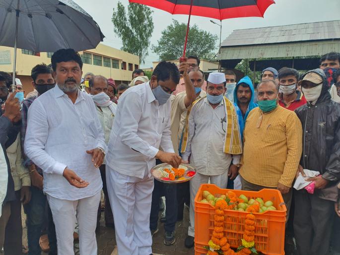 Launch of Tomato Auction at Ozark | ओझर येथे टमाटा लिलावाचा शुभारंभ