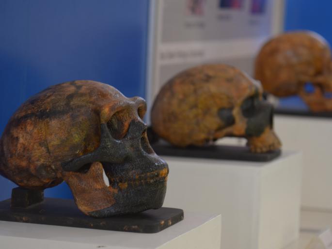 Identity of the evolution of the Adimanu to the children of the satellite system in Nagpur | नागपुरात आदिमानवाची उत्क्रांती ते सॅटेलाईट तंत्राची मुलांना ओळख Identity of the evolution of the Adimanu to the children of the satellite system in Nagpur | नागपुरात आदिमानवाची उत्क्रांती ते सॅटेलाईट तंत्राची मुलांना ओळख