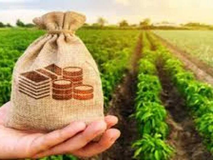 Avoid giving peak loans | पीककर्ज देण्यास टाळाटाळ Avoid giving peak loans | पीककर्ज देण्यास टाळाटाळ