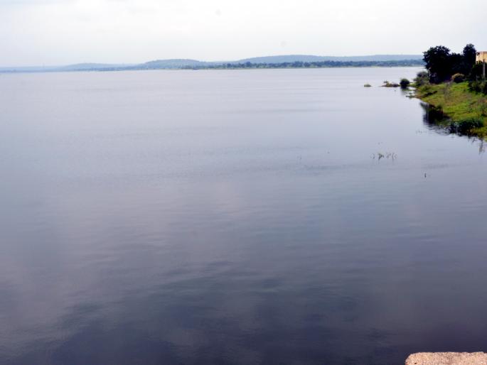 Parbhani: Fifty-five reached by the fish project | परभणी : मासोळी प्रकल्पाने गाठली पन्नाशी Parbhani: Fifty-five reached by the fish project | परभणी : मासोळी प्रकल्पाने गाठली पन्नाशी