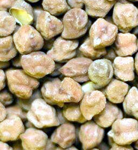 Parbhani: 10 lakh rupees for sale of gram | परभणी : हरभरा विक्रीचे दहा लाख रुपये झाले जमा Parbhani: 10 lakh rupees for sale of gram | परभणी : हरभरा विक्रीचे दहा लाख रुपये झाले जमा