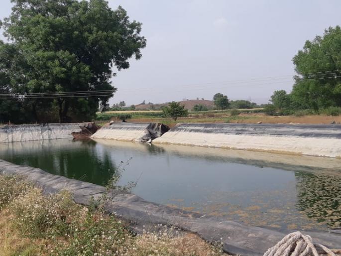 Cousin drowned in a farm in Akole taluka | अकोले तालुक्यात चुलता-पुतण्याचा शेततळ््यात बुडून मृत्यू Cousin drowned in a farm in Akole taluka | अकोले तालुक्यात चुलता-पुतण्याचा शेततळ््यात बुडून मृत्यू