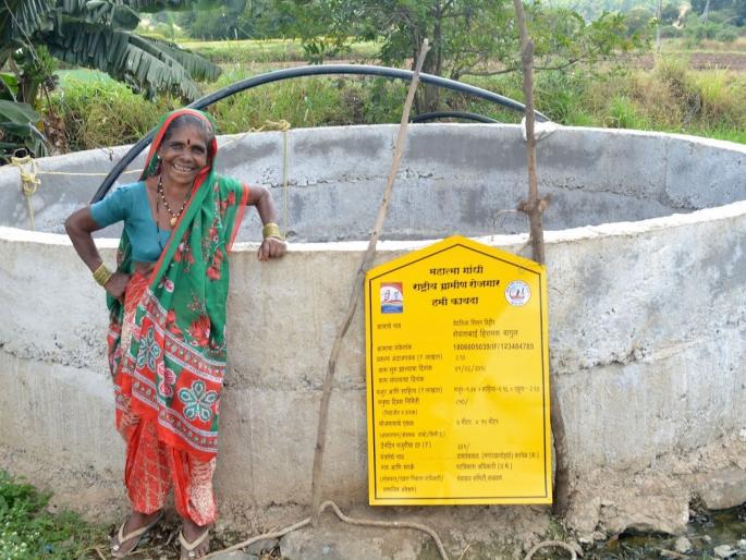 Tomato bloomed in the fields of Shevantabai! | ...अन् शेवंताबार्इंच्या शेतात फुलला टमाटा! Tomato bloomed in the fields of Shevantabai! | ...अन् शेवंताबार्इंच्या शेतात फुलला टमाटा!