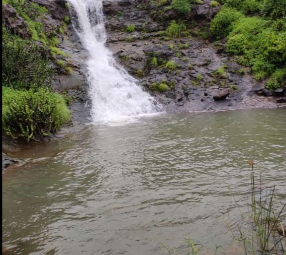 Crowd to Sinnar to experience nature! | निसर्ग अनुभवण्यासाठी सिन्नरला गर्दी ! Crowd to Sinnar to experience nature! | निसर्ग अनुभवण्यासाठी सिन्नरला गर्दी !