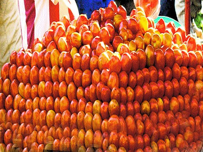 Sudden fall in prices has led to a decline in the rate of tomatoes | भावात अचानक घसरण  टमाट्याचे दर कोसळल्याने आर्थिक उलाढाल मंदावली