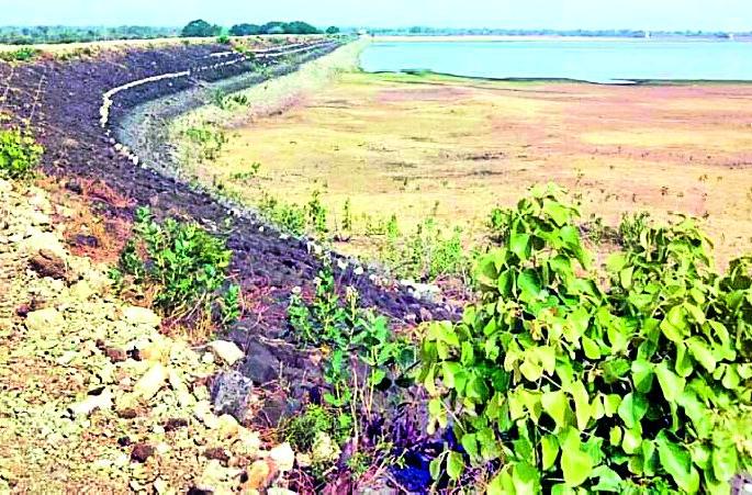 Only 45 percent rain in the district | जिल्ह्यात केवळ ४५ टक्केच पाऊस Only 45 percent rain in the district | जिल्ह्यात केवळ ४५ टक्केच पाऊस