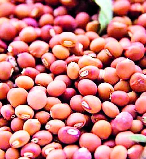 Buldana: Finally, Nafed's turf purchase Deadline increase; Relief for farmers! | बुलडाणा : अखेर नाफेडच्या तूर खरेदीस मुदतवाढ; शेतकर्‍यांना दिलासा!