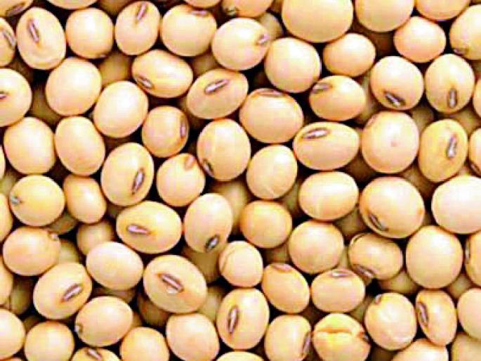 Purchase the highest price in the Arvi market | आर्वी बाजारात सर्वाधिक तूर खरेदी Purchase the highest price in the Arvi market | आर्वी बाजारात सर्वाधिक तूर खरेदी