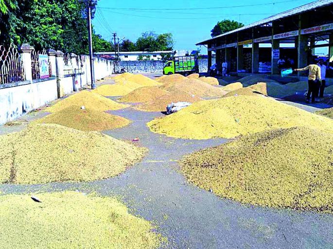 Sowing of 3.50 lakh quintals of soyabean | ३.५० लाख क्विंटल सोयाबीन व्यापाऱ्यांच्या झोळीत Sowing of 3.50 lakh quintals of soyabean | ३.५० लाख क्विंटल सोयाबीन व्यापाऱ्यांच्या झोळीत