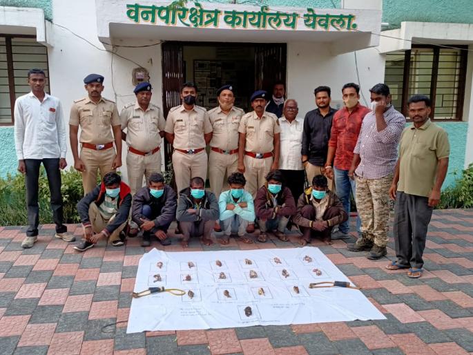 6 bird hunters arrested | पक्ष्यांची शिकार करणारे ६ जण अटकेत 6 bird hunters arrested | पक्ष्यांची शिकार करणारे ६ जण अटकेत