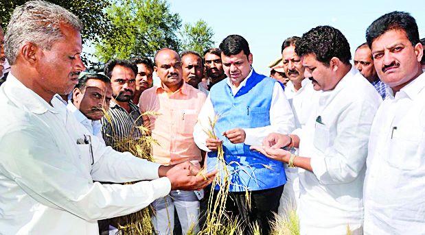 Speaking of farmers | शेतकऱ्यांची बोळवण Speaking of farmers | शेतकऱ्यांची बोळवण