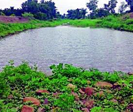 Irrigation system | जलयुक्त शिवारच्या कामांवर यंत्रणेचीच टाच Irrigation system | जलयुक्त शिवारच्या कामांवर यंत्रणेचीच टाच