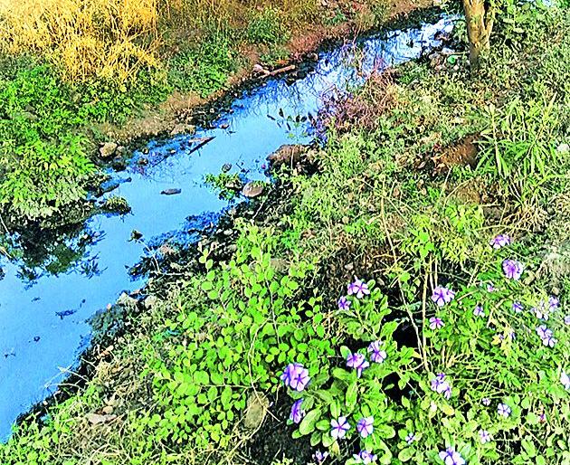 Naltala water in the house | नालीतले पाणी घरात Naltala water in the house | नालीतले पाणी घरात