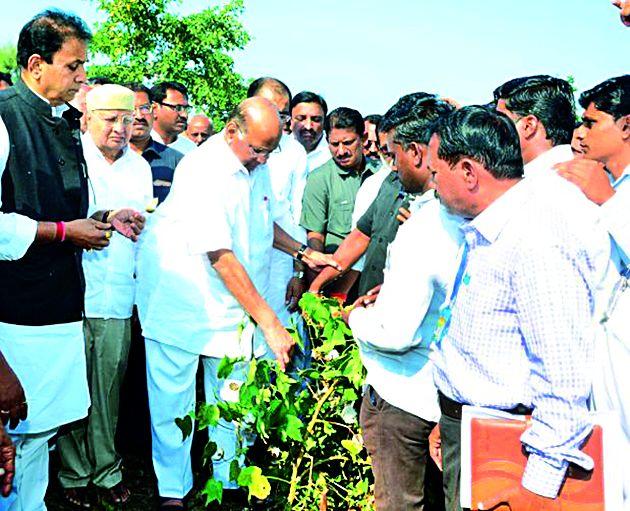 Do not give up, I talk to the government | धीर सोडू नका, मी शासनाशी बोलतो Do not give up, I talk to the government | धीर सोडू नका, मी शासनाशी बोलतो
