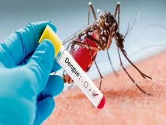 Good News; Coronary awareness leads to dengue eradication; No one dies during the year | Good News; कोरोनाच्या जागृतीमुळे डेंग्यू हद्दपार; वर्षभरात एकाचाही मृत्यू नाही Good News; Coronary awareness leads to dengue eradication; No one dies during the year | Good News; कोरोनाच्या जागृतीमुळे डेंग्यू हद्दपार; वर्षभरात एकाचाही मृत्यू नाही
