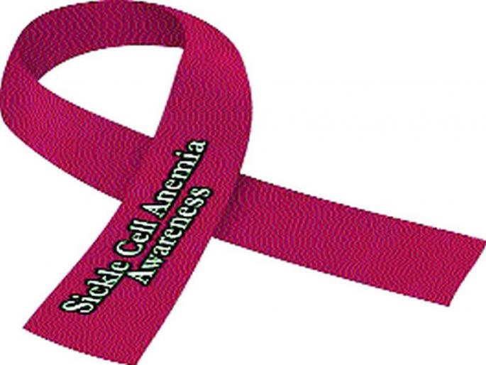 The clash of 'SickleSell' around tribal tehsils | आदिवासी तालुक्यांभोवती ‘सिकलसेल’चा फास The clash of 'SickleSell' around tribal tehsils | आदिवासी तालुक्यांभोवती ‘सिकलसेल’चा फास