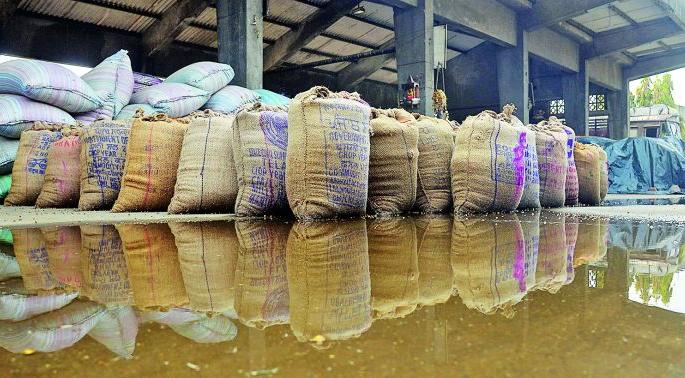 Grain soaked in Kalamanya in Nagpur, causing loss of lakhs to farmers and traders | नागपुरातील कळमन्यात धान्य भिजले, शेतकरी व व्यापाऱ्यांचे लाखोंचे नुकसान  Grain soaked in Kalamanya in Nagpur, causing loss of lakhs to farmers and traders | नागपुरातील कळमन्यात धान्य भिजले, शेतकरी व व्यापाऱ्यांचे लाखोंचे नुकसान