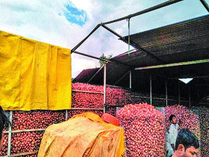 Onion shredded due to windy rain | वादळी पावसामुळे कांद्याचे शेड जमीनदोस्त