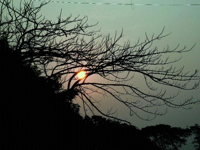  Nashikites experience pink cold | नाशिककरांना गुलाबी थंडीचा अनुभव