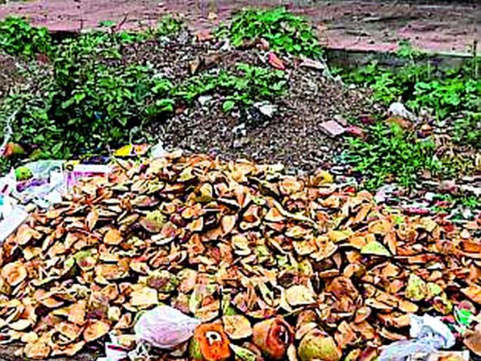 On the head removed dengue, malaria | डेंग्यू, मलेरियाने काढले डोके वर On the head removed dengue, malaria | डेंग्यू, मलेरियाने काढले डोके वर