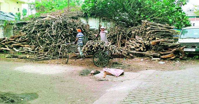 Cylinder affordability, household clay stoves; Increased wood shavings in settlements | सिलिंडर परवडेना, घरोघरी मातीच्या चुली; वस्त्यावस्त्यांमध्ये वाढले लाकडाचे टाल Cylinder affordability, household clay stoves; Increased wood shavings in settlements | सिलिंडर परवडेना, घरोघरी मातीच्या चुली; वस्त्यावस्त्यांमध्ये वाढले लाकडाचे टाल