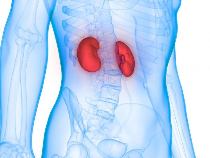 The kidney transplant cases in the sub-capital will be headed towards century | उपराजधानीत मूत्रपिंड प्रत्यारोपणाची शंभरीकडे वाटचाल The kidney transplant cases in the sub-capital will be headed towards century | उपराजधानीत मूत्रपिंड प्रत्यारोपणाची शंभरीकडे वाटचाल