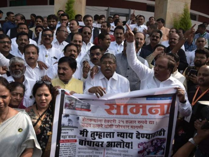 Agitation by opposition in winter session at Nagpur | नागपूर हिवाळी अधिवेशन २०१९; विरोधकांनी शेतकऱ्यांच्या मागण्यांसाठी केले घोषणाआंदोलन