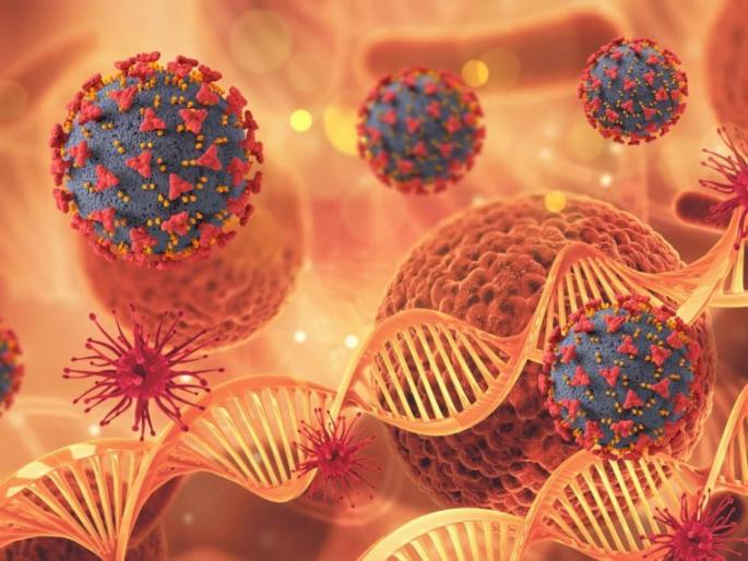 Nagpur, Amravati has 25% corona patients in the state | नागपूर, अमरावतीमध्ये राज्यातील २५ टक्के रुग्ण